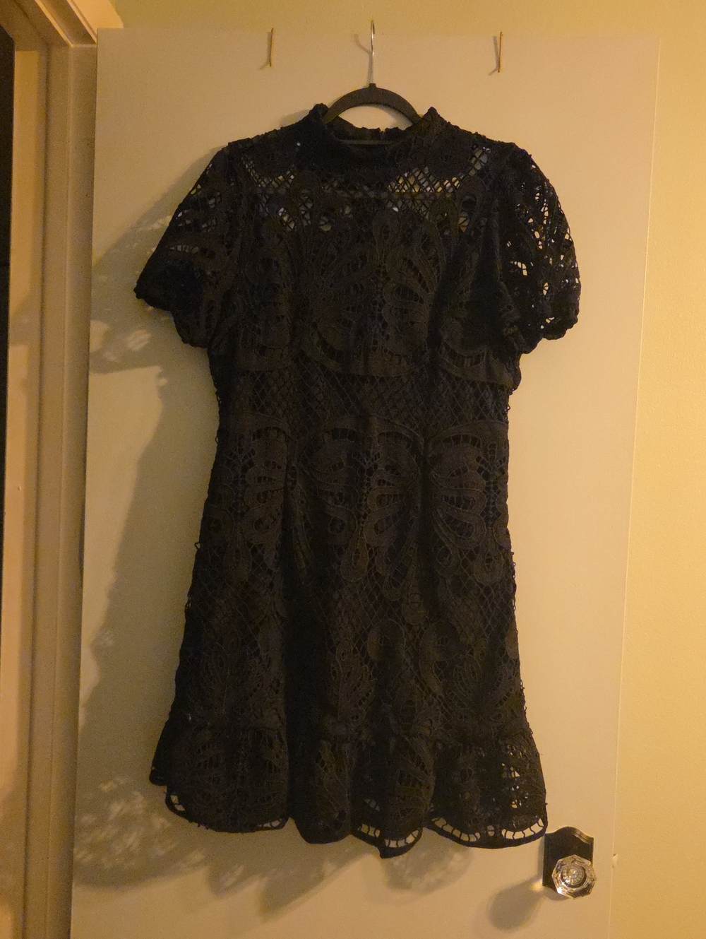 Black Lace Short-Sleeve A-Line Dress